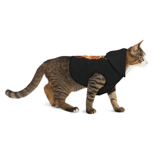 Black TKO Pet Hoodie