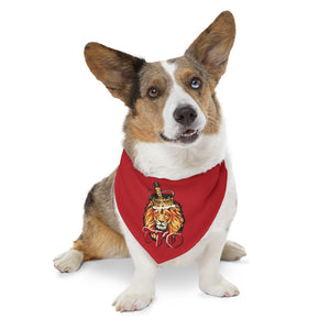 Red TKO Pet Bandana Collar