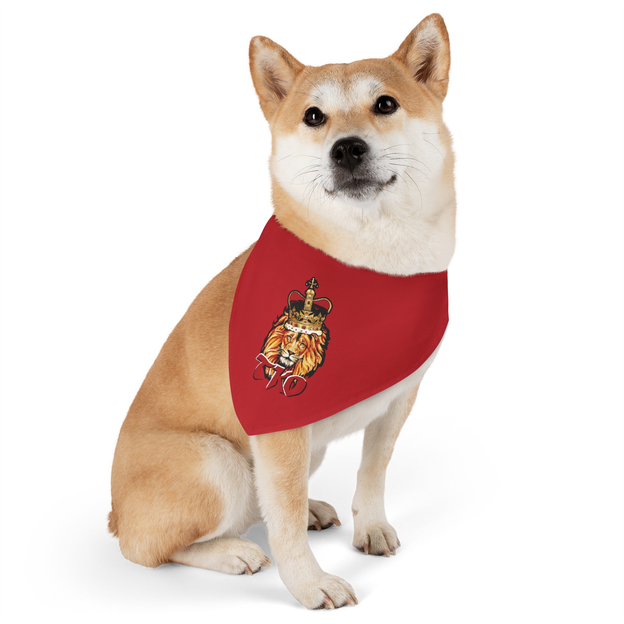 Red TKO Pet Bandana Collar