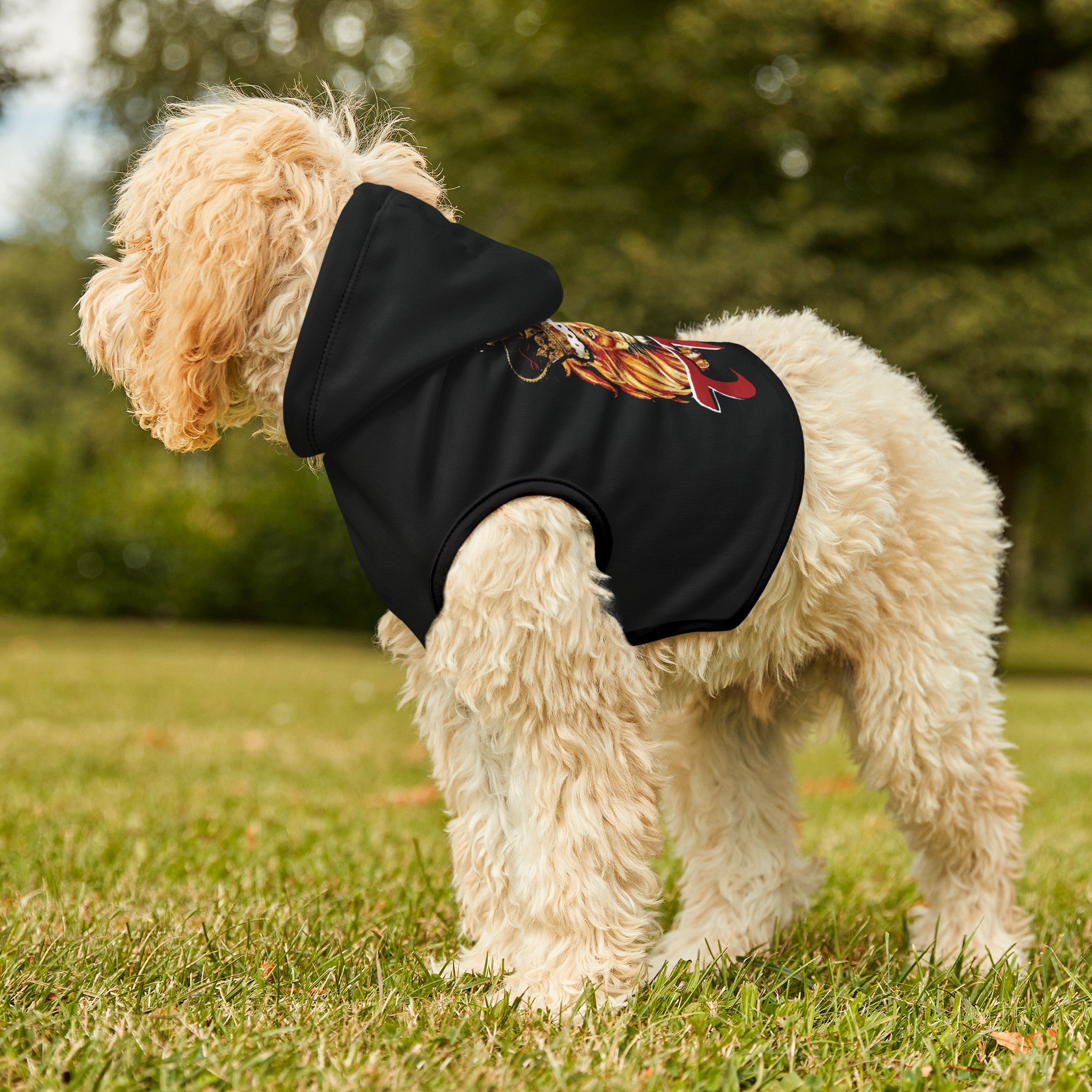 Black TKO Pet Hoodie