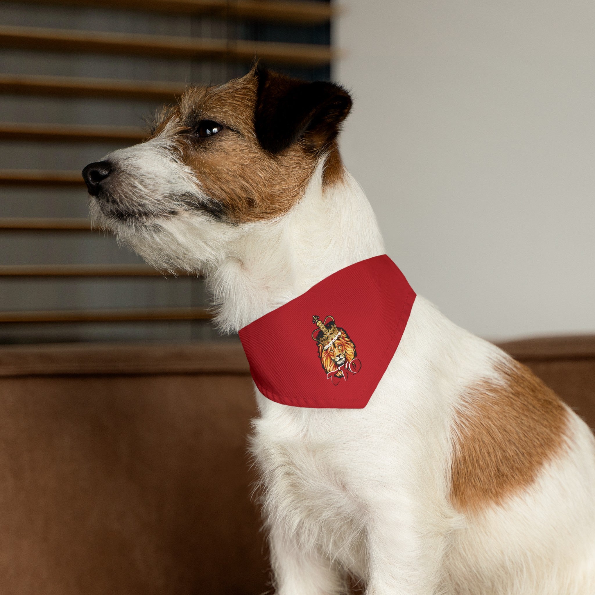 Red TKO Pet Bandana Collar